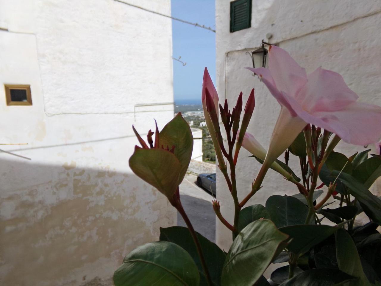 Le Tre Volte Villa Ostuni Kültér fotó